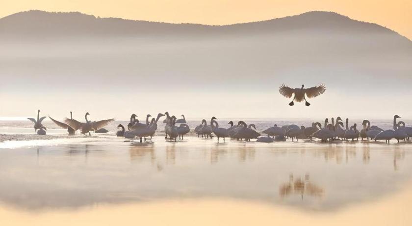 Greentree Inn Weihai Rongcheng Haoyunjiao Tourist Resort Buitenkant foto